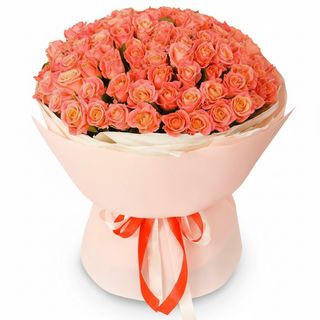 101 коралова троянда