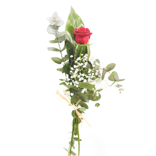 1 Rosa Roja   