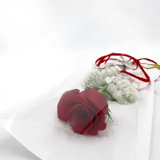 1 rosa roja fresca