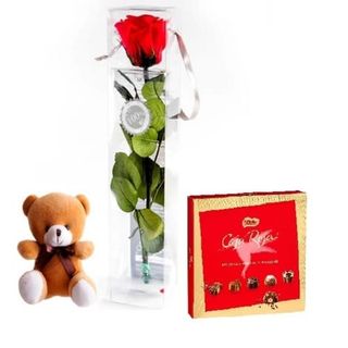 Rosa Roja Eterna Con Peluche Oso "Teddy" Y "Caja Roja" (21 Uds.)