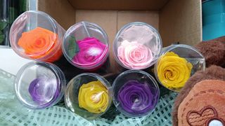 Rosa Preservada corta Color Aleatorio