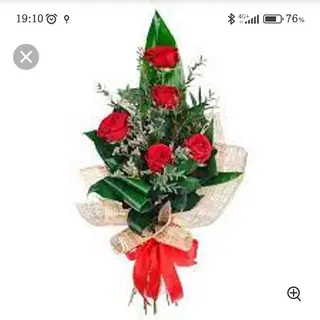 5 rose