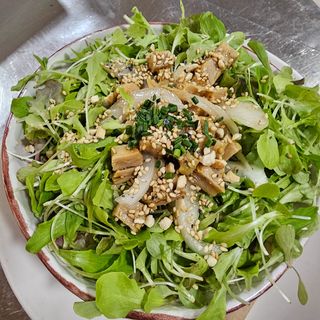 Poke hawaiano tradicional VEGANO