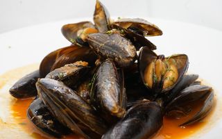 Cozze alla marinara