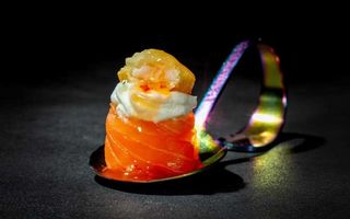 264. Giò ebiten - 1 pezzo