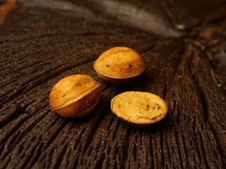 Горішок зі згущенкою (15g)