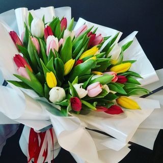 Букет 45 різнокольорових тюльпанів