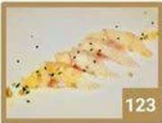 123 Carpaccio branzino
