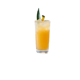 Jus Exotic