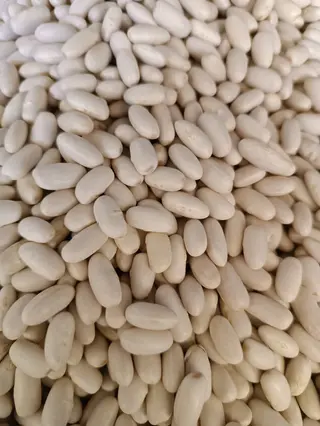 Fagioli cannellini 1 kg
