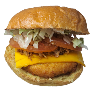 HAMBURGUESA DE POLLO