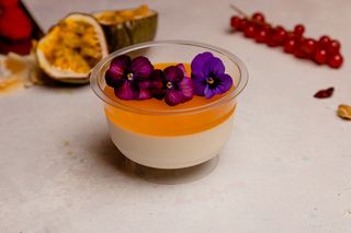 Panna Cotta (gluten free)