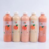 SMOOTHIE BLISS (5 Fruit Smoothies)