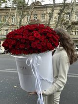 Valentine's collection #5