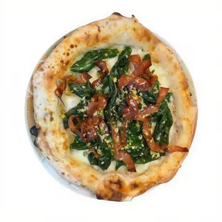 Mortazza