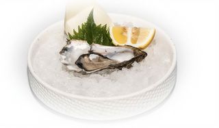 Y14. Ostriche - 2 pezzi