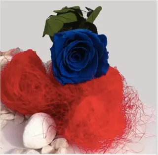 Rosa Eterna