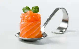 Gunkan Salmón