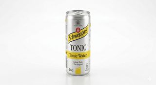 Schweppes  - Tonic  ( 24Cl ) Canette