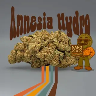 Amnesia hydro NanoXXX CBD al 87% 3G