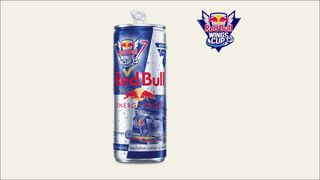 Red Bull Wings Cup