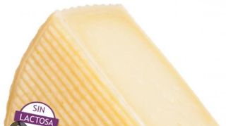 Queso sin lactosa ( 300g) 