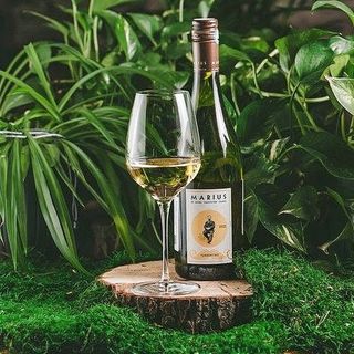 Marius Rouge Syrah Grenache Pays DOC