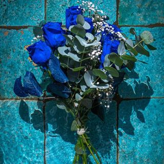 Ramo de 6 Rosas Azules