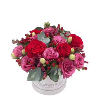 Cosmopolitan Cocktail Box 