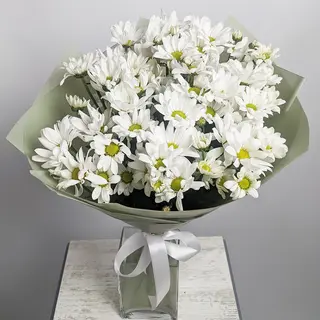 თეთრი ქრიზანთემები 2265
