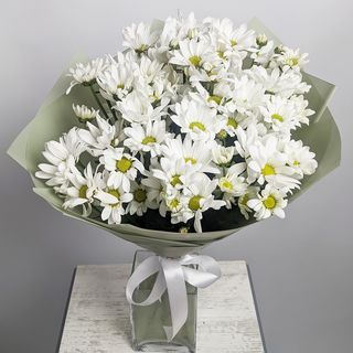 თეთრი ქრიზანთემები 2265