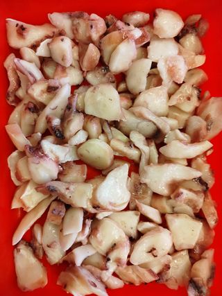 Tentacoli di totano cotto e tagliato