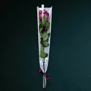 Trandafir Mov Ambalat