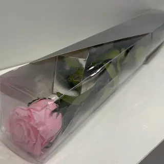 Róża wieczna różowa 50cm