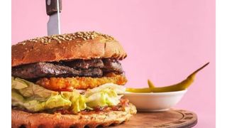 Бургер Классика (360г)