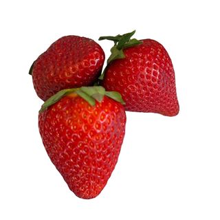 Fresón (Aprox. 500)