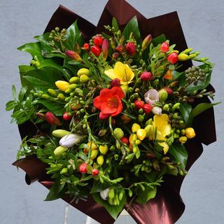 Buchet cadou cu 31 frezii multicolore