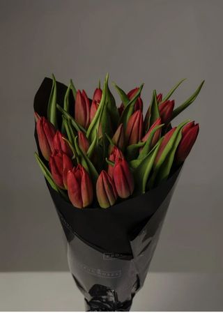 Ramo de 10 tulipanes rojos