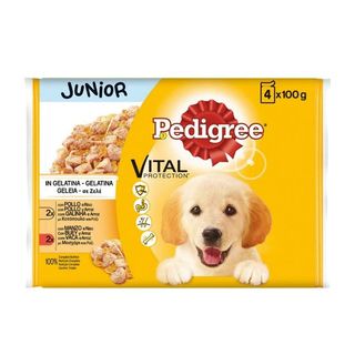 Comida Húmida Cão Junior Frango/Vaca Gelatina - Pedigree 4x100g