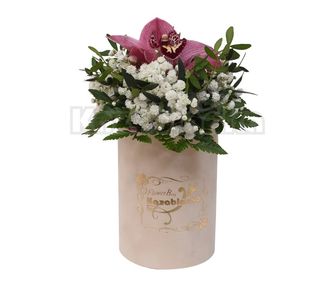 Cvet orhideje u kutiji (ASP 014)