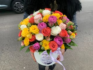 ფერადი ჯუჯა ვარდები 