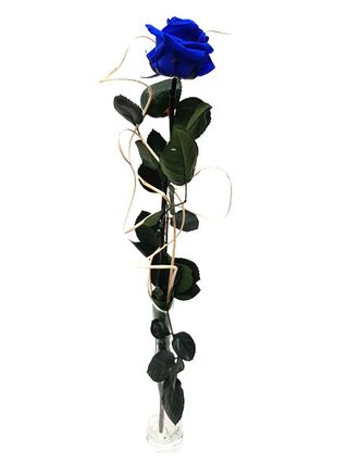 Rosa Eterna Azul Con Violetero