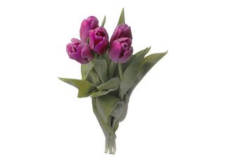 Лилави лалета 5 бр