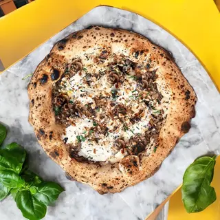 Tartufo