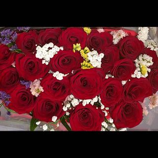 21 Rose rosse e velo della sposa