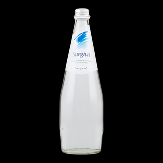Woda GAZOWANA DELICE 0,33L