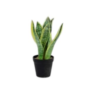 Vaso Sansevieria Nature - ARTIFICIAL