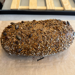 KAPNOR paine nordica