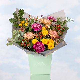 Burbuja De Colección MP Grande