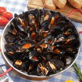 Midii Mariniere 730/90 g